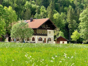 Ferienwohnungen Zipflwirt